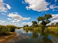 Afrique du Sud : Parc Kruger