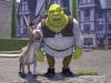 Shrek et Donkey