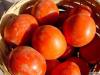 Tomates 2