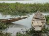 Barques au bord du Niger